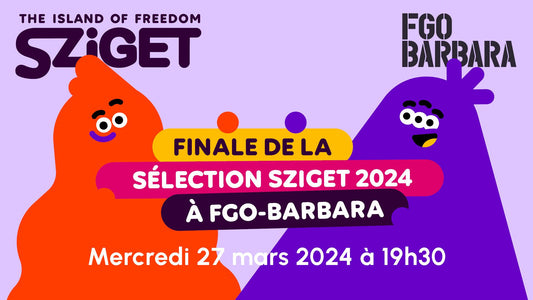 Sélection du Sziget Festival  - Budapest - Appel à Candidature 2024